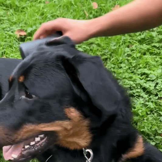 GripBrush™ – The Magic Dog Grooming Brush