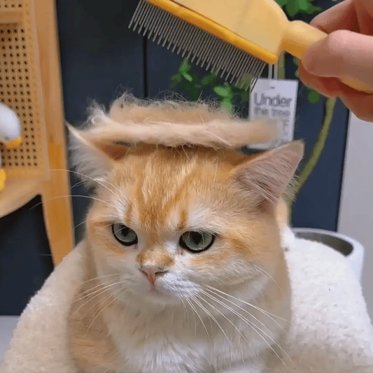 PurrBrush™ – The Self-Cleaning Cat Grooming Brush