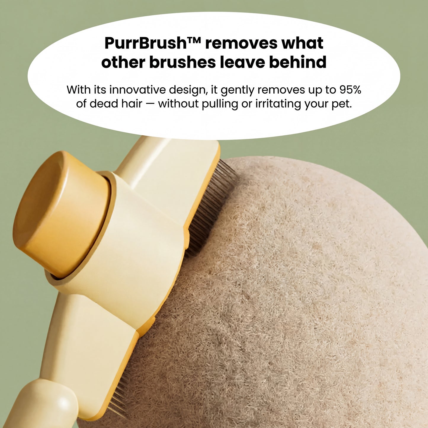 PurrBrush™ – The Self-Cleaning Cat Grooming Brush