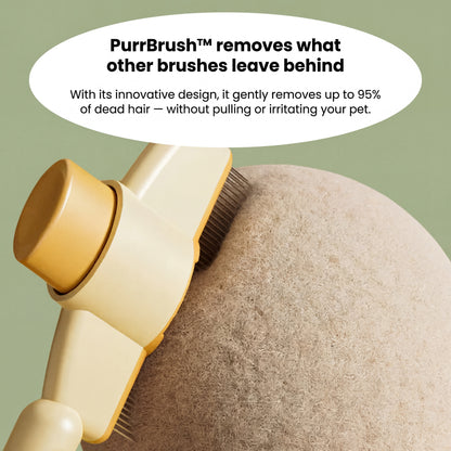 PurrBrush™ – The Self-Cleaning Cat Grooming Brush