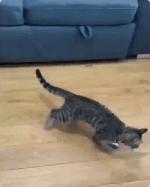 FlutterBird™ – The Cat Toy That Keeps Boredom Away