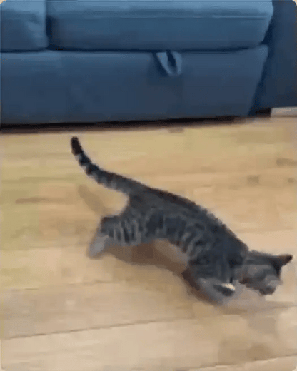 FlutterBird™ – The Cat Toy That Keeps Boredom Away