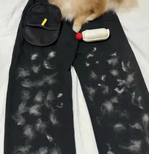GripFur™ – Reusable & Eco-Friendly Pet Hair Remover Glove